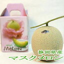静岡県産 マスクメロン 1玉 約1.5kg 化粧箱 白級 静岡産|ギフト フルーツ 温室メロン アールスメロン 高級メロン 大玉 メロン 美味しい 高級 果物 高級フルーツ 贈り物 くだもの フルーツギフト お見舞い お祝い お供え ゴルフコンペ 景品 大きい 果物 父の日 退院祝い