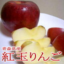 紅玉リンゴ（こうぎょくりんご）約5kg 中玉 18〜20個入り 青森 岩手 長野産 酸っぱいリンゴ|コウギョク べにたま 林檎 アップル パイ ジュース ジャム ケーキ