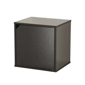 組み合わせ キューブボックス キューブリック 扉タイプ Cubrick 収納 木製 カラーボックス 見せる収納 ラック 本棚 CDラック DVDラック レコード ゲームソフト 収納ボックス 木製収納ボックス
