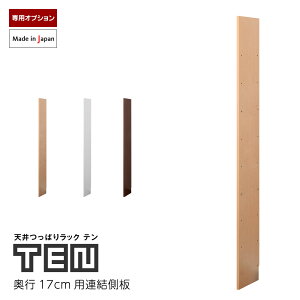 TENp A s17cm Vς胉bNTEN