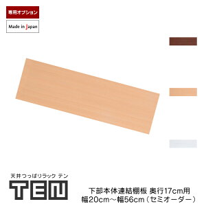 TENp Ap {̒I s17cm Z~I[_[i