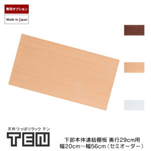 TENp Ap {̒I s29cm Z~I[_[i