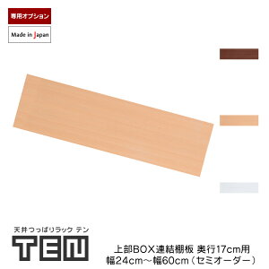 TENp Ap 㕔BOXI s17cm Z~I[_[i