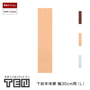 TENp {̗p 30cm LTCY 125cm