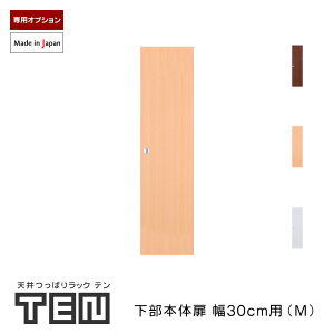 TENp {̗p 30cm MTCY 107cm