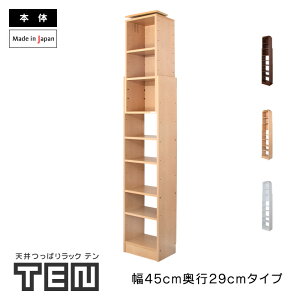 Vς胉bN TEN 45cm s29cm { {I I ^ ^  R~bN X ȃXy[X  e  ˂ bN I[vbN Ԏ[ nk΍