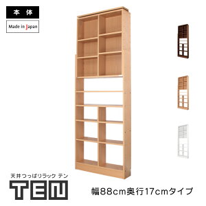 Vς胉bN TEN 88cm s17cm { {I I ^ ^  R~bN X ȃXy[X  e  ˂ bN I[vbN Ԏ[ nk΍