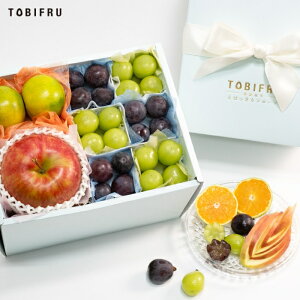 季節のフルーツセット A(りんご・みかん・ぶどう2品種)フルーツ ギフト 結婚 出産 内祝 お礼 結婚内祝 出産内祝 法事 法要 お見舞い 退院祝い お供え 快気祝 景品 贈り物 プレゼント 手土