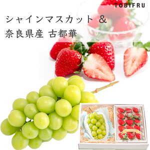 VC}XJbg  ޗǌY Ós(Ƃ) y  Ԃǂ z Ε ~Mtg ʕ t[c  蕨 v[g j j  w ސE AE j o^C 