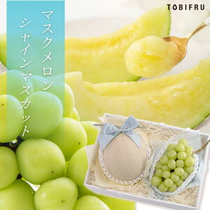 シャインマスカット & マスクメロン 【ぶどう メロン】フルーツ ギフト 結婚 出産 内祝 お礼 結婚内祝 出産内祝 法事 法要 お見舞い 退院祝い お供え 快気祝 景品 贈り物 プレゼント 手土産