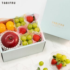 G߂̃t[cZbg C  / Ԃǂ / ݂ / Y t[c Mtg  oY j  j oYj @ @v  މ@j ii 蕨 v[g yY 