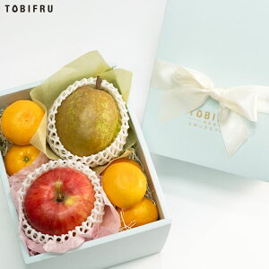 {̃v`t[cZbgi / EtX / ݂j ʕ t[c   Mtg v[g Cj j ei  j a 䌩 䋟 oYj ܎O Ε 