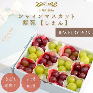 フルーツ宝石箱 シャインマスカット & 紫苑(しえん)【ぶどう ブドウ シャインマスカット 紫苑(しえん)】 フルーツギフト ギフト 結婚 出産 内祝 結婚内祝 出産内祝 法事 法要 お供え