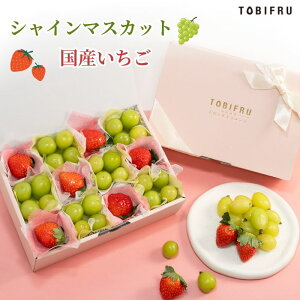 t[cΔ VC}XJbg  Y y Ԃǂ  C`SzHה t[c Mtg  oY j j oYj @ @v  Cj 蕨  v[