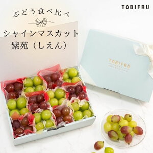 t[cΔ VC}XJbg  ijԂǂ uhE VC}XJbg ijt[c Mtg Mtg  oY j j oYj @ @v  C