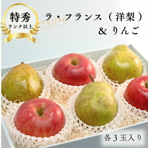 EtXimj   e3ʓym  EtXz t[cMtg Mtg  oY j j oYj @ @v  Cj 蕨  v[g 