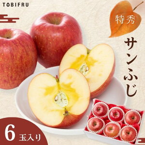 Tӂi񂲁j6ʓ TtW   Ε ~Mtg t[c Mtg  oY j  j oYj @ @v  މ@j  Cj ii 蕨 v[