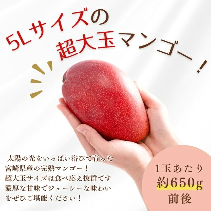楽天市場】＜超大玉＞宮崎県産 完熟マンゴー 1玉入り 【マンゴー 5L 