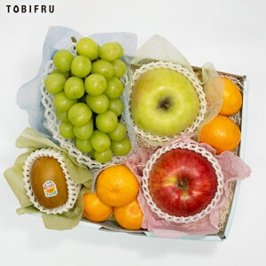 {̃t[c lߍ킹 v~AyVC}XJbg / ݂ /  / LECzt[c Mtg  oY j  j oYj @ @v  މ@j  Cj 