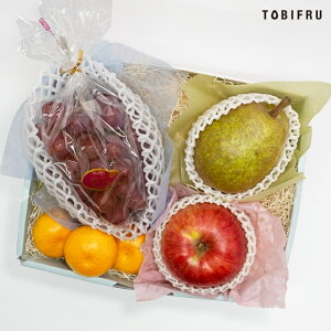 {̃t[c lߍ킹 XyV y / ݂ /  / EtXz t[c Mtg  oY j  j oYj @ @v  މ@j  Cj ii 