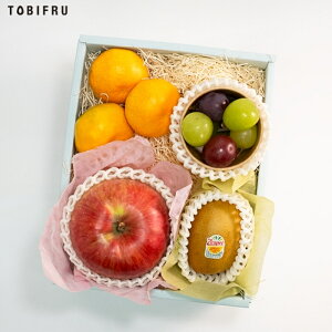 {̃t[c lߍ킹 yX^_[hz t[c Mtg  oY j  j oYj @ @v  މ@j  Cj ii 蕨 v[g yY i 