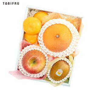 {̃t[c lߍ킹 yX^_[hz t[c Mtg  oY j  j oYj @ @v  މ@j  Cj ii 蕨 v[g yY i 