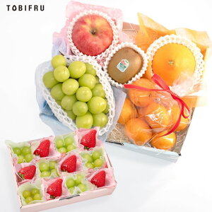 {̃t[c lߍ킹 S[h t[c Mtg  oY j  j oYj @  މ@j  Cj ii 蕨 v[g yY i Ε 