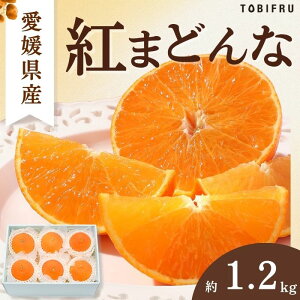 QY g܂ǂ 1.2kg y݂ k Gz ʕ t[c   Mtg v[g Cj j ei  j a 䌩 䋟 oYj ܎O Ε N