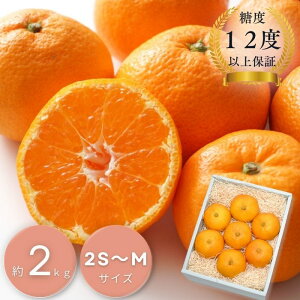 Y R݂ kqr2kgy݂z[c Mtg  oY j j oYj @ @v  Cj 蕨  v[g Ε ~Mtg N NX