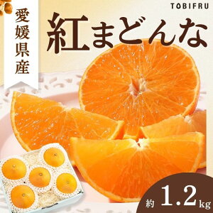 QY g܂ǂ 1.2kg 4`7 Ε Q p [[ ƒp ʕ t[c   Mtg v[g Cj j ei  j a 䌩 䋟 oYj ܎O