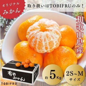 a̎RY ݂ 5kg yLc݂ ݂ kz ƒp p Ɩp e ʕ t[c  ~Mtg Ε NX}X ~x AȓyY  N 