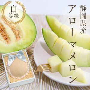 ÉY }XN 1ʓ yA[} zt[c Mtg  oY j  j oYj @ @v  މ@j  Cj ii 蕨 v[g y