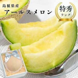 yGizY A[X 1ʓ t[cMtg Mtg  oY j j oYj @ @v  Cj 蕨  v[g Ε ~Mtg N t[