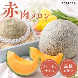 �ԓ�������1�ʓ��� 2L�`3L �N�C���V�[������ ���m�������� ���̓� �ăM�t�g ������ �t���[�c �M�t�g ���� �o�Y ���j ���� �������j �o�Y���j �@�� �@�v �������� �މ@�j�� ������ ���C�j �i�i 