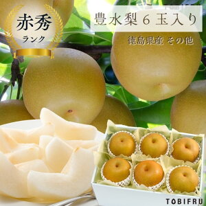 L 6ʓy Ȃ iVzhV̓ ăMtg  t[c Mtg  oY j  j oYj @ @v  މ@j  Cj ii 蕨 v[g y