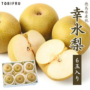 K 6ʓy a ȂzhV̓ ăMtg  t[c Mtg  oY j  j oYj @ @v  މ@j  Cj ii 蕨 v[g y