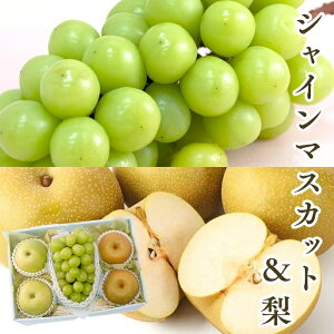 VC}XJbg   yԂǂ  Ȃ iVzhV̓ t[c Mtg  oY j  j oYj @ @v  މ@j ii 蕨 v[g yY i 