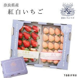 ޗǂ{ ޗǌY Ós & W e1pbN yޗǌY C`S z Ε ~Mtg t[cMtg Mtg  oY j j oYj @ @v  Cj 蕨 v