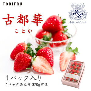 ޗǂ{ ޗǌY Ós 1pbN yޗǌY  Ƃz t[cMtg Mtg  oY j j oYj @ @v  Cj 蕨 v[g  