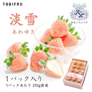 ޗǂ{ ޗǌY W (䂫) 1pbN y 䂫 C`S 䕁z t[cMtg Mtg  oY j j oYj @ @v  Cj 蕨 v[g 