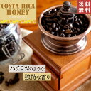 コスタリカハニー 【 豆・粉選べます 】100g 200g 500g 2kg コスタリカ ジャガーハニー シナモンロースト コーヒー コーヒー豆 珈琲 ハニープロセス ストレート シングルオリジン シングル ドリップコーヒー 水出しコーヒー コールドブリュー