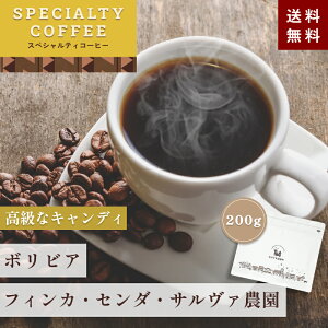 XyVeBR[q[ y QCV z {rA tBJEZ_ET@_ QCV 200g yEIׂ܂z SPECIALTY COFFEE R[q[  QV XyVeBR[q[  