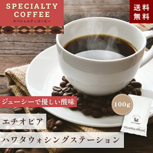 XyVeBR[q[ SPECIALTY COFFEE G`IsA n^EHbVOXe[V 100gyEIׂ܂z VOIW Xg[g t[eB M[ R[q[   t