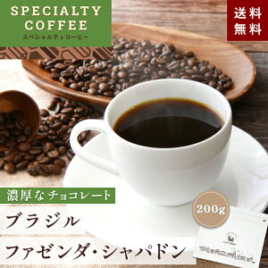 XyVeBR[q[ uW t@[_EVph 200gyEIׂ܂z SPECIALTY COFFEE VOIW Xg[g t[eB M[ R[q[   t`vX 