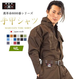 yی ΁zbVc ΃Vc Ίv 8000 8000S ƒ ƕ Ε ƃVc jbJ|bJ ㉺ZbgΉ 100 b ΐE { 4Lyیz