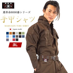 yی ΁zbVc ΃Vc Ίv 8000 8000S ƒ ƕ Ε ƃVc jbJ|bJ ㉺ZbgΉ 100 b ΐE { 3Lyیz