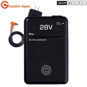 y2025N ŐV fzMWp GB428 `E CI obe[ ƕ V 28V obe[ t@ @ p t@tEFAp Cyoshin Japan
