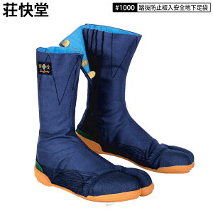  1000 n S  8͂ zՒ Sc NbV\[  ^r S Sc c