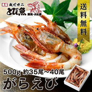 yX[p[SALEN[|ōX100~Itz炦 500g 35`40 䌧Y Y Yn e Ɩp Ⓚ ÂĔ  KGr hg 炦т̓g o[xL[ D