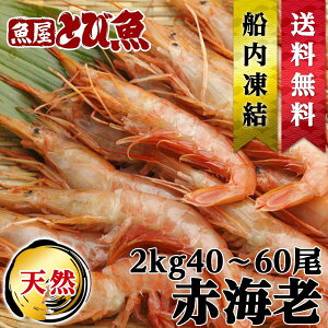 ԃGr 2kg 40`60 A[` Ԃ Ɩp p VR hg  ԊCV ٓ  o[xL[ If  akaebi